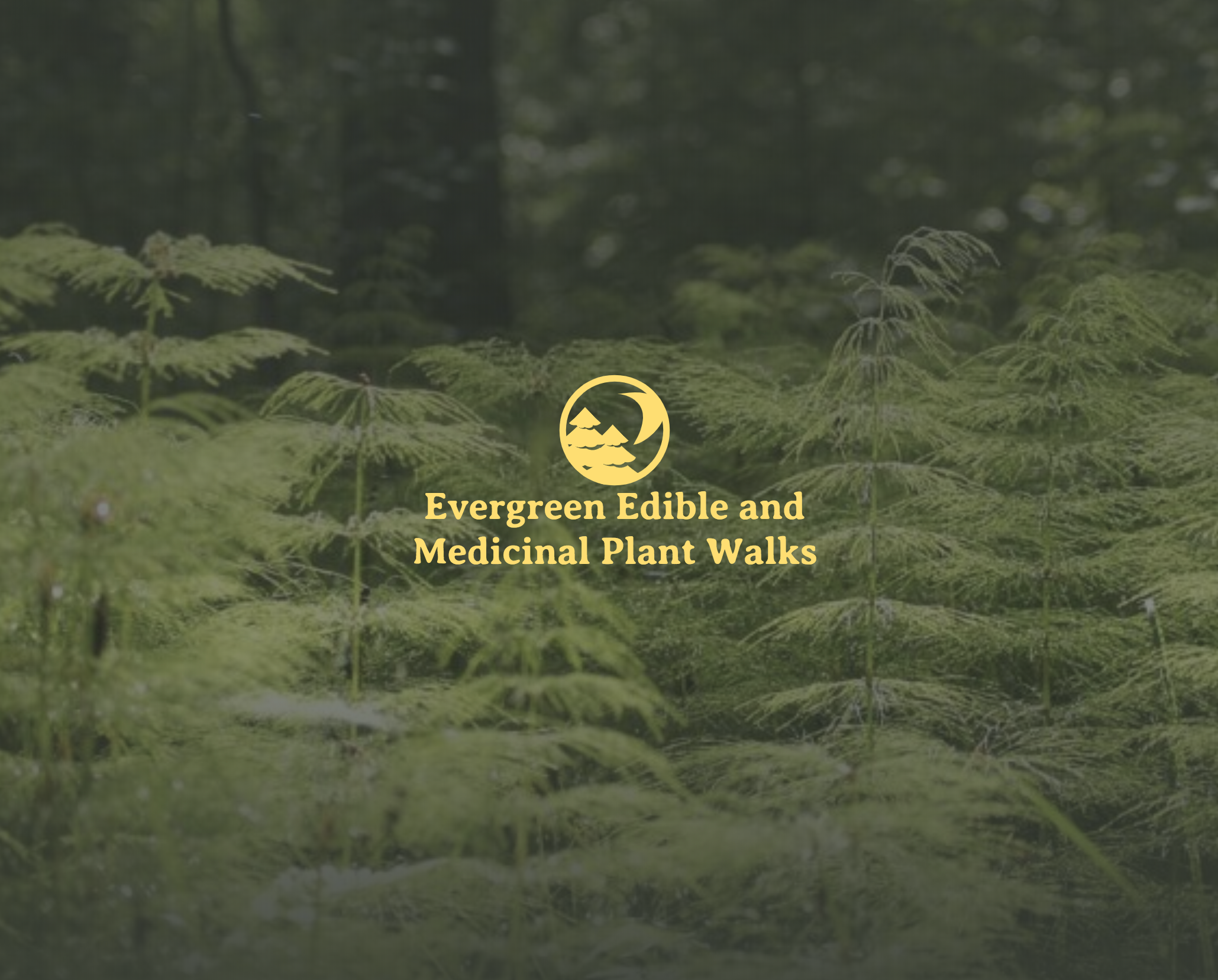 Evergreen Plant Walks website screenshot